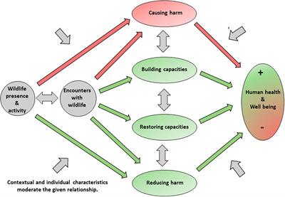 Appraisals of Wildlife During Restorative Opportunities in Local Natural Settings